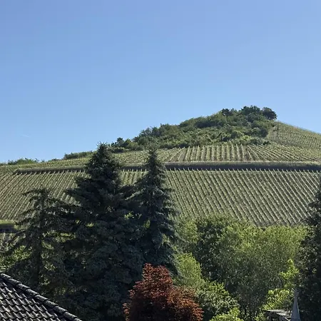 Licht-blick 9 Wiltingen